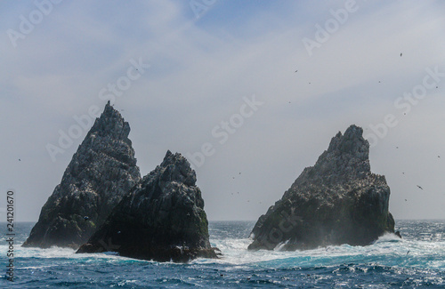 The Shag Rocks are six small, uninhabited, islands on the most western part of South Georgia. They are named after the South Georgian Imperial Shags, a sub-species of Comorants. photo