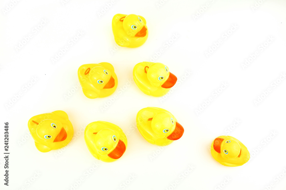 Yellow rubber duck on white background. Leadership concept.