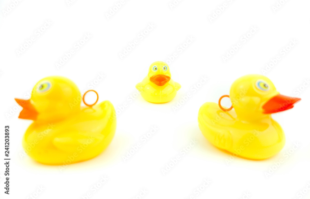 rubber ducks on white rubber ducks on white