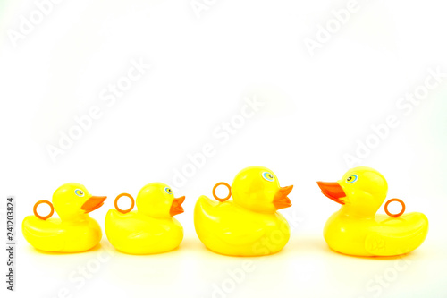 Yellow rubber duck on white background. Leadership concept.