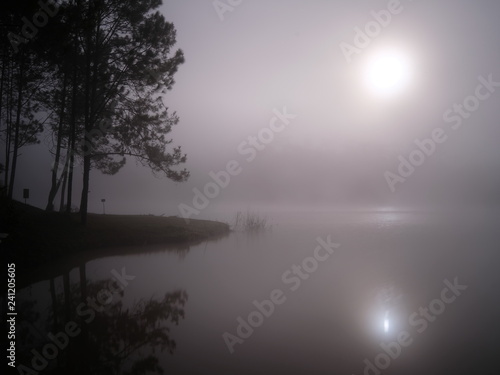 Lakeside with mist  © Niyada