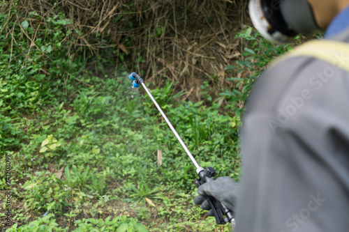 Farmers are spraying herbicide on garden