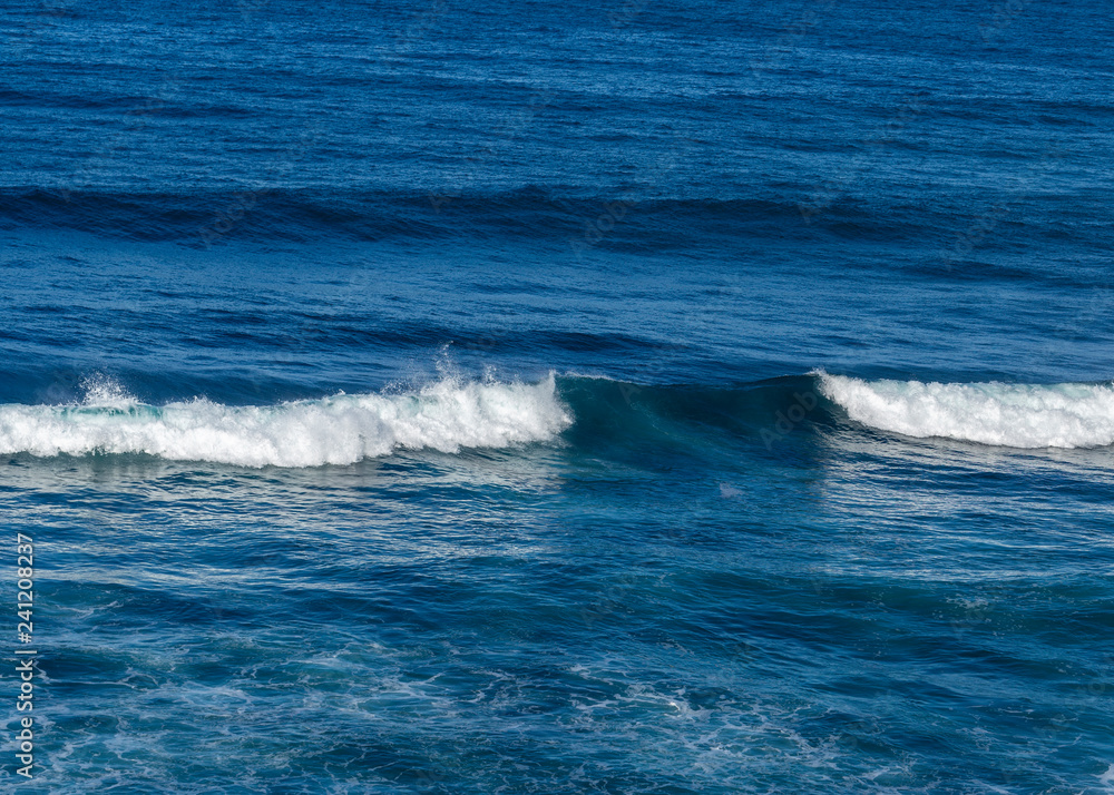 A beautiful beach in the carbbean