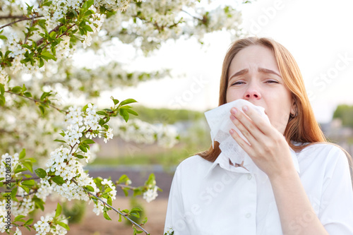 Outdoor shot of displeased Caucasian woman feels allergy, holds white tissuue, stands near tree with blossom, feels unwell, sneezes all time. People and health problems. Spring time. Blooming photo