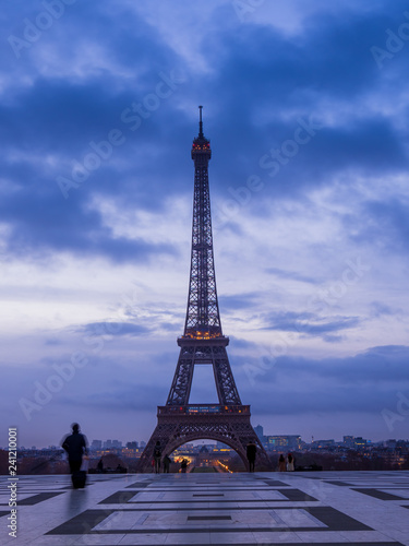 Fototapeta Naklejka Na Ścianę i Meble -  The Eiffel tower in Paris