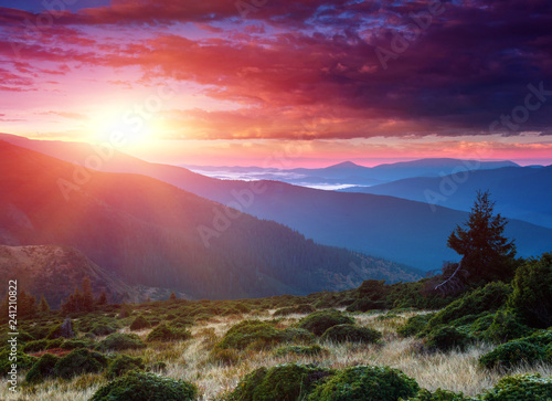 Fotografie Amazing landscape in the mountains at sunrise