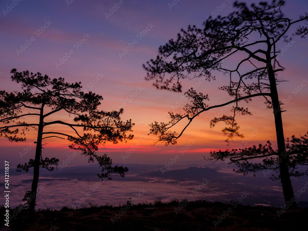 During Sunrise with mist 