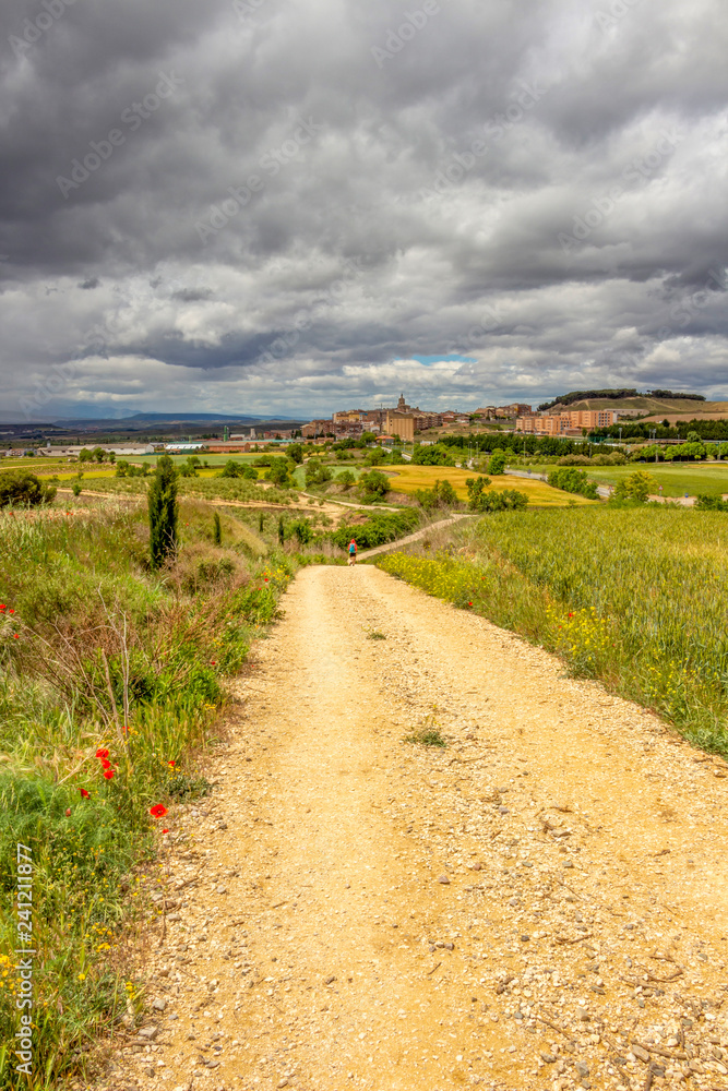 Unpaved country road on the Way of St. James, Camino de Santiago leading to the town of Viana in Navarre, Spain, a pilgrim in the distance