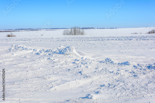 Beauty of nature in winter