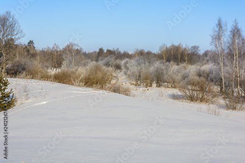 Beauty of nature in winter