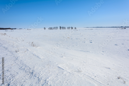 Beauty of nature in winter