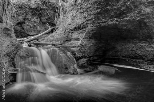 Waterfall in a Forest in Scotland in Black and White 