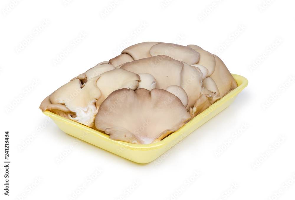 Cultivated raw oyster mushrooms on the foam food tray Cultivated raw oyster mushrooms on the foam food tray
