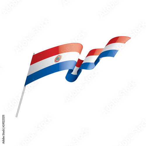 Paraguay flag, vector illustration on a white background