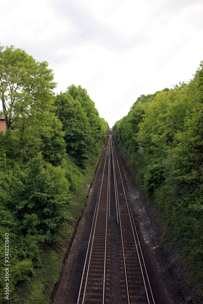 Obraz premium Tree lined railway track / railroad track
