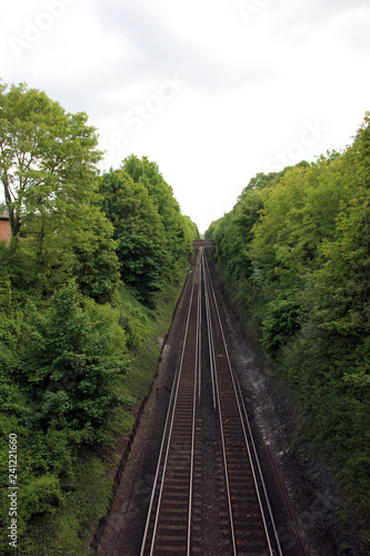 Tree lined railway track / railroad track