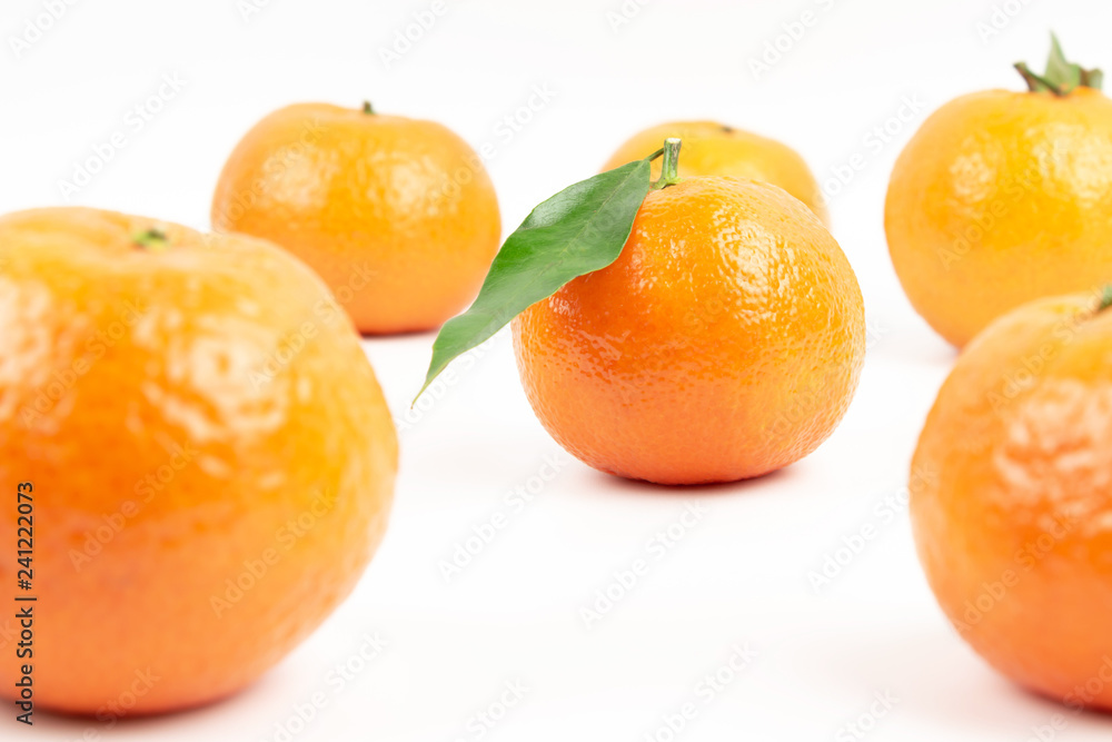 Ripe tangerines with green leaves on a white background and one center tangerine with green leaf in focus Ripe tangerines with green leaves on a white background and one center tangerine with green leaf in focus