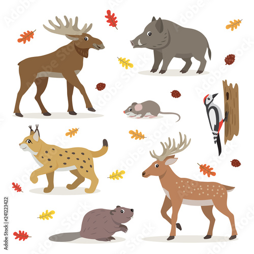 Set of forest wild animals isolated on white background, moose, deer, lynx, boar, beaver, colorful woodpecker, small mouse and fallen leaves, vector illustration © MarySan
