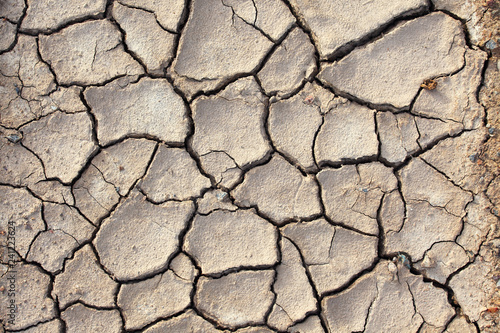close up of cracked soil background.
