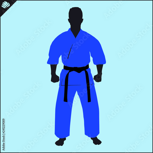 Martial art colored simbol design. Karate emblem.