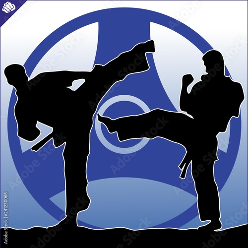 Martial art colored simbol design. Karate emblem.