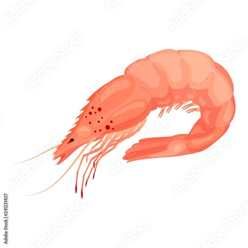 Raw shrimp icon. Cartoon of raw shrimp vector icon for web design isolated on white background