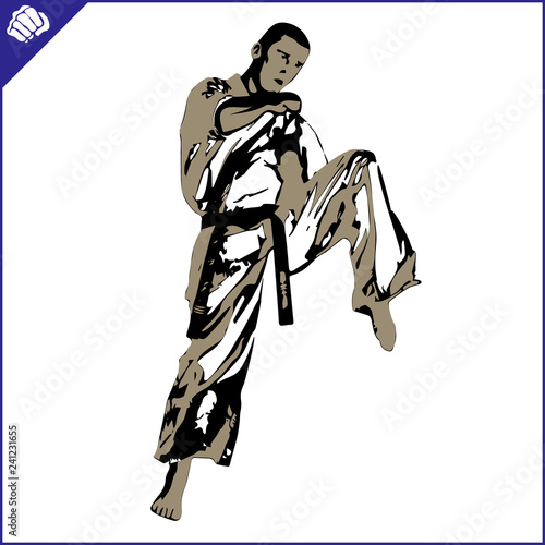 Martial art colored simbol design. Karate emblem.