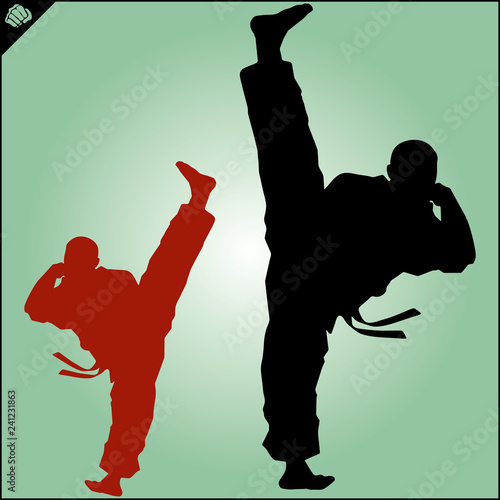 Martial art colored simbol design. Karate emblem.