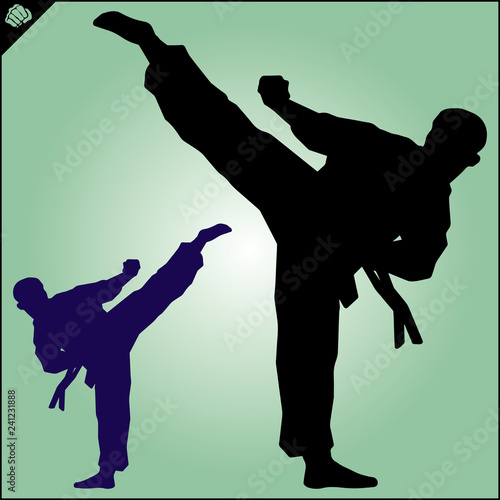 Martial art colored simbol design. Karate emblem.