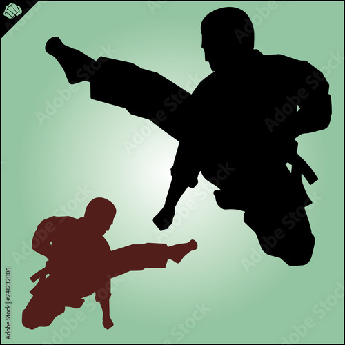 Martial art colored simbol design. Karate emblem.