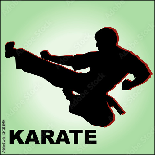 Martial art colored simbol design. Karate emblem.