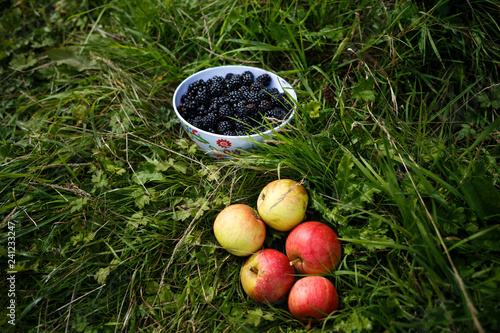 foraging blackberries and apples