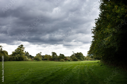 water meadows with cloudy sky