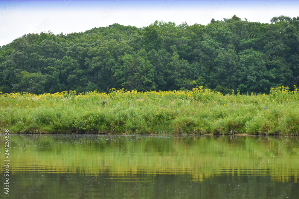 Landscape on river