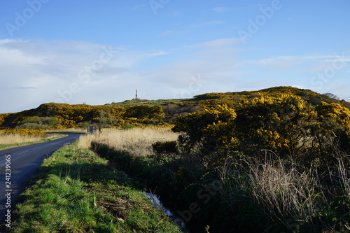 Road and Monument 1