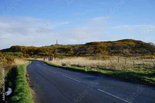 Road and Monument 2