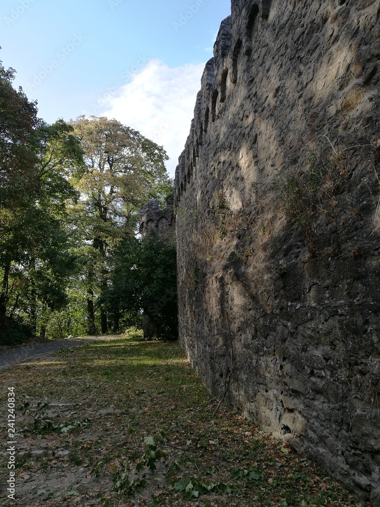 Burgmauer von Schloss Alsbach im Odenwald