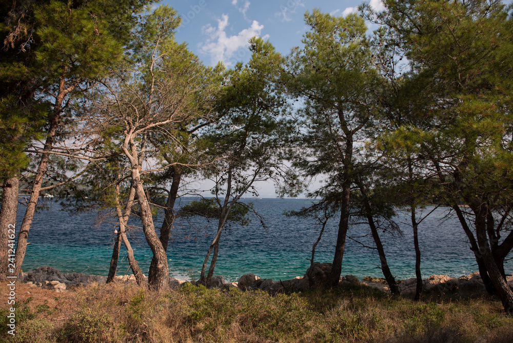 Forest with shore and beautiful blue sea and sky in background. Adriatic sea and coastline. Forest with shore and beautiful blue sea and sky in background. Adriatic sea and coastline.