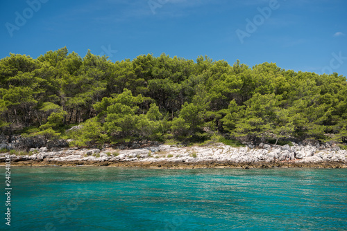 Beautiful coastline with green forest, stones and blue sky and sea water. Natural wallpaper. Adriatic coastline. Croatia. Mediterranean sea.