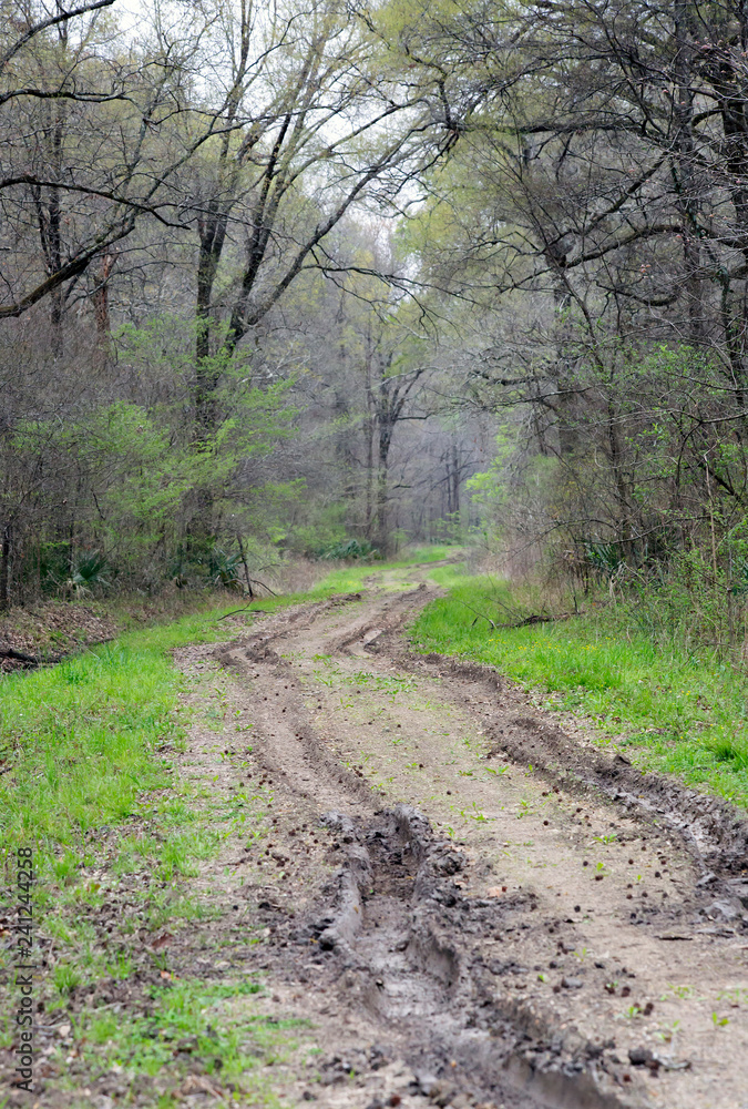 Muddy Road Muddy Road