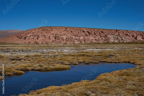 Wetland along a tributary of the River Lauca high on the Altiplano of northern Chile in Lauca National Park. photo