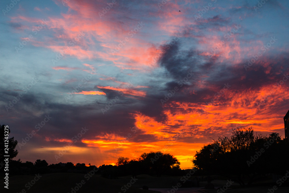 Arizona Sunset