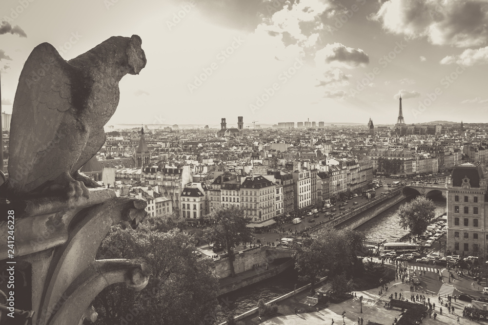 Gargoyle from Notre Dame Cathedral overlooking the cit of Paris with a vintage retro tone effect