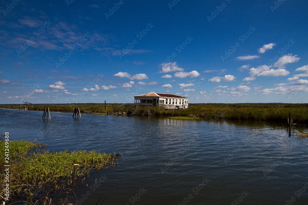 Fototapeta premium Louisiana, dintorni di New Orleans (USA)