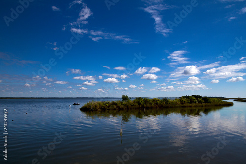 Louisiana, dintorni di New Orleans (USA)