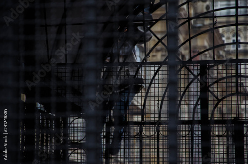 Wallpaper Mural Marcha estudiantil Bogotá Torontodigital.ca