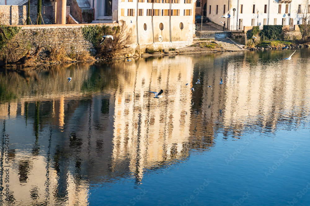Birds fly around the river in Bassano del Grappa
