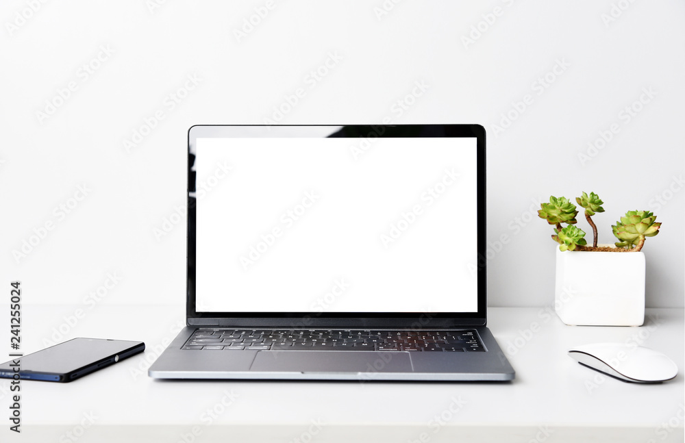 Fototapeta premium blank screen Modern laptop computer with mouse,Smart phone and Succulent on wood table in office view backgrounds