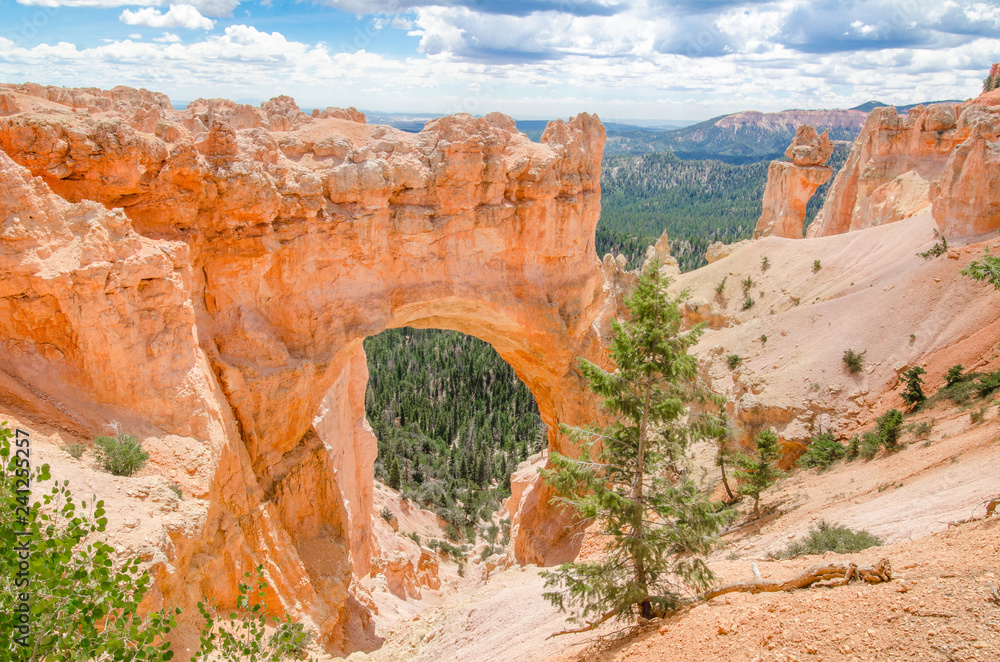 Arch Rock Formation in Bryce Canyon National Park, Utah Arch Rock Formation in Bryce Canyon National Park, Utah