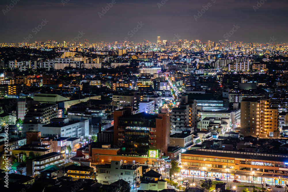 Fototapeta premium Nocny widok na Osakę